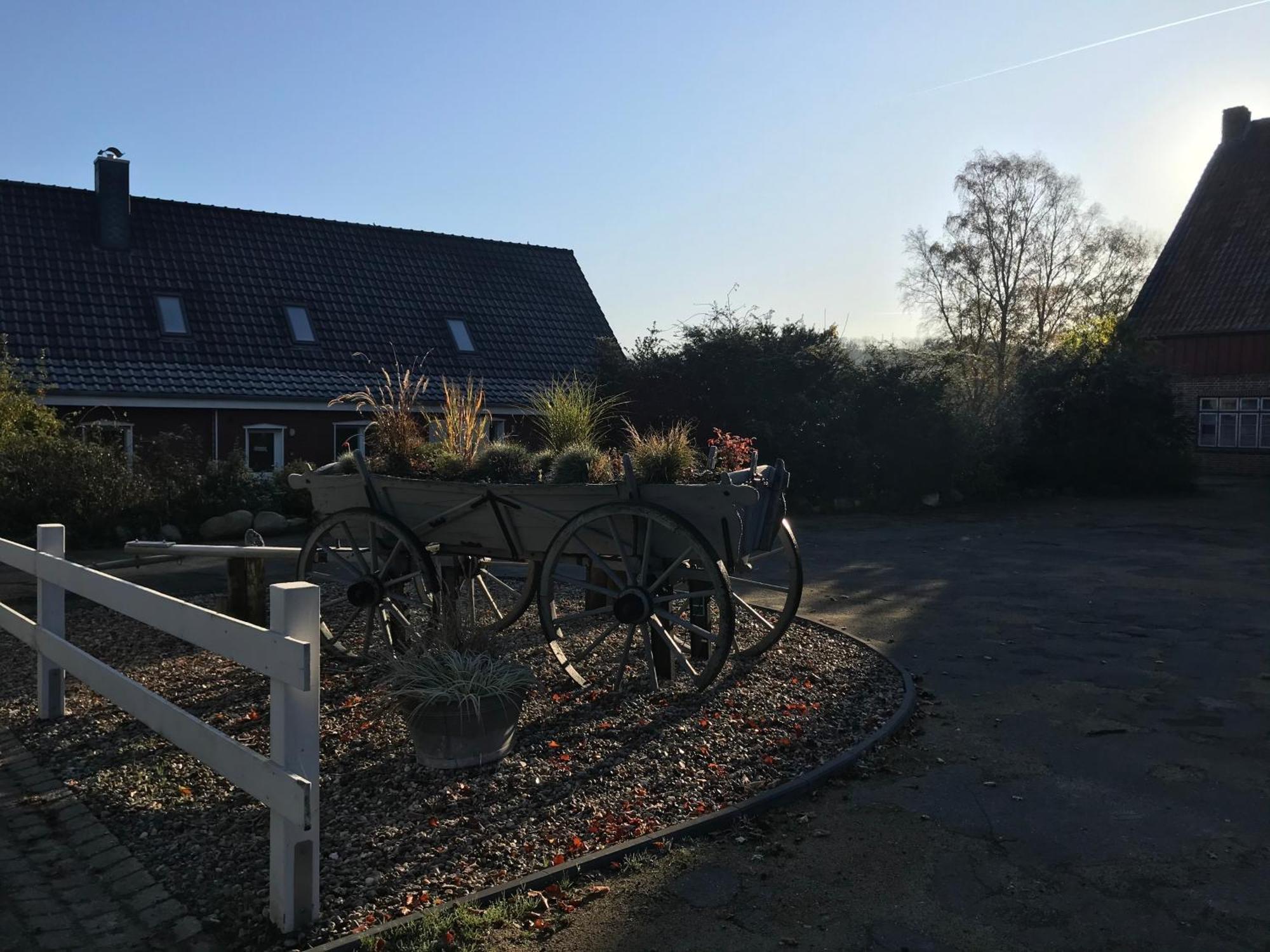 Moderne Ferienwohnung Auf Gut Bennewohld Wl Heide  Exteriér fotografie